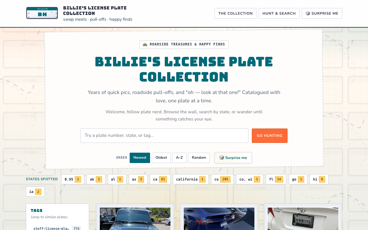 License Plates by Billie Hawkins
