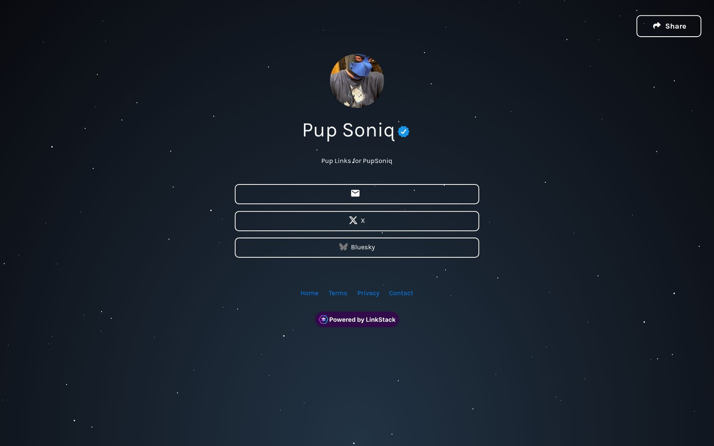 Homepage preview of Pup Soniq